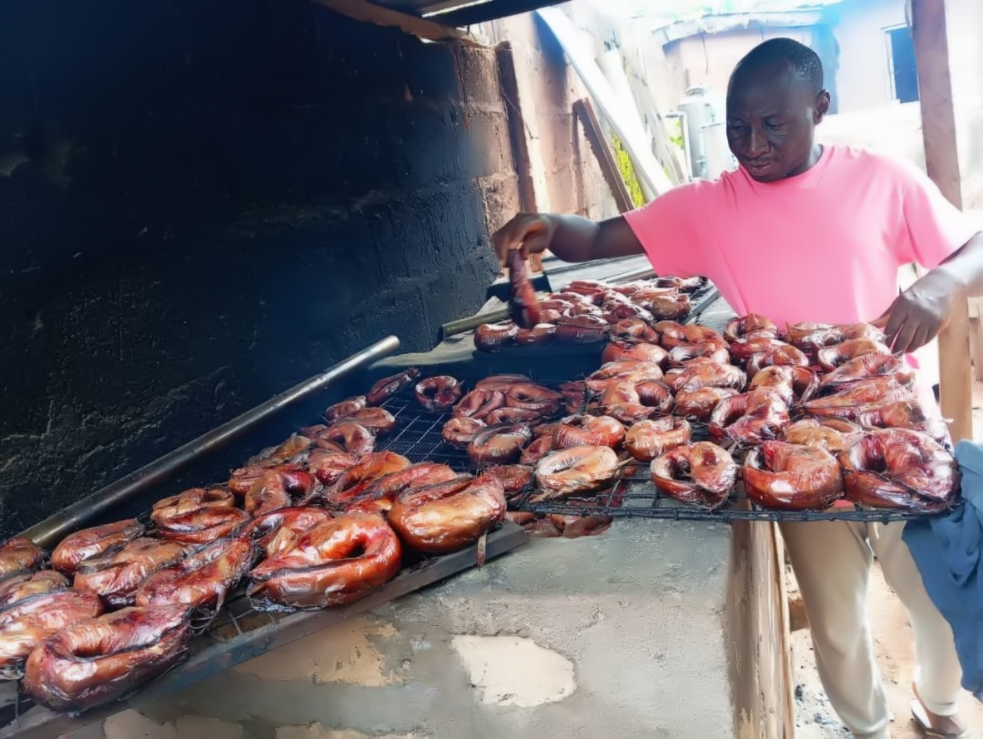 The Growing World of Fish Farming in Nigeria: How Education is Changing Lives